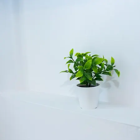 Lejlighed Summer Kos By