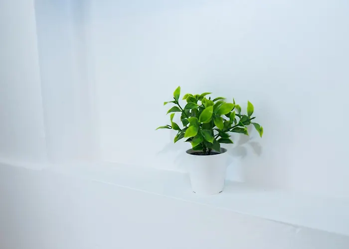 Apartmán Summer Kos